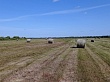 Уватские аграрии полностью закрыли потребность в сене для местных хозяйств